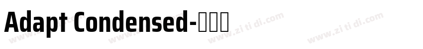 Adapt Condensed字体转换